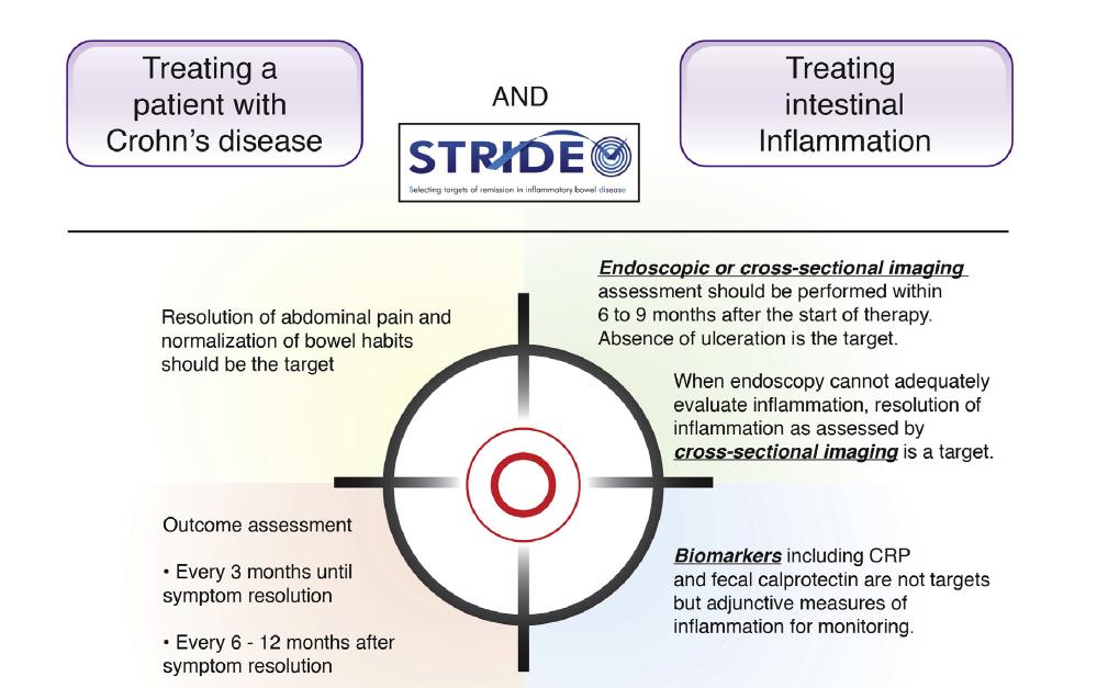 Treat to Target Assess the following in 6 months after therapy initiation: - Clinical symptoms - Biomarkers (i.e. inflammatory markers, fecal calprotectin) - Endoscopic/mucosal healing is the goal 1.