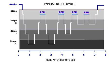 A complete sleep cycle takes 90 to 110 minutes on average. We spend almost 50% of our total sleep time in stage 2 sleep, about 20% in REM sleep, and the remaining 30% in the other stages.