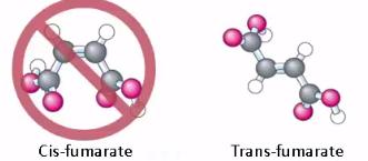 o Phosphate group in GTP is transferred to ADP to make ATP uses the enzyme nucleoside- diphosphate kinase Ø The enzyme (succincyl CoA synthetase) has two subunits one binds succinyl CoA and the other