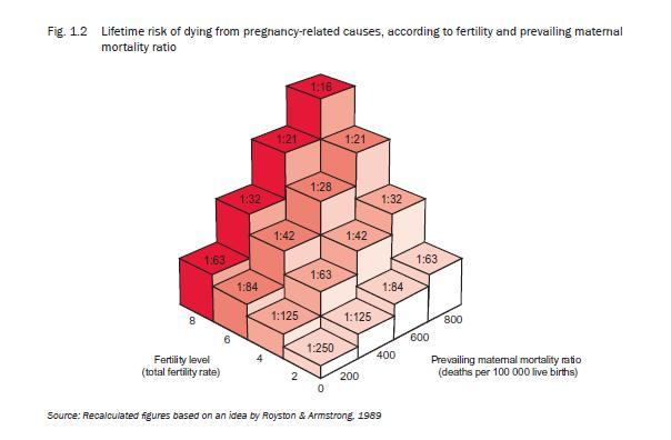 of dying from pregnancy-related causes, according to fertility and prevailing maternal mortality ratio Fertility level (total fertility rate)