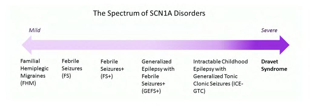 SCN1A-related disorders