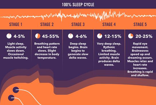 STAGES OF SLEEP Stage 2: Now the brain begins to block the processing of external stimuli that it registers as non-dangerous. Memory consolidation begins here.