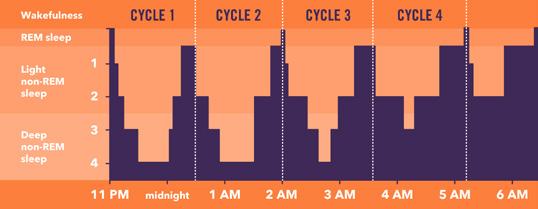 SLEEP ARCHITECTURE - THE RIGHT MIX OF SLEEP Sleep research shows that infants, teenagers and adults require approximately 16, 9.5 and 7-9 hours of sleep each night, respectively.