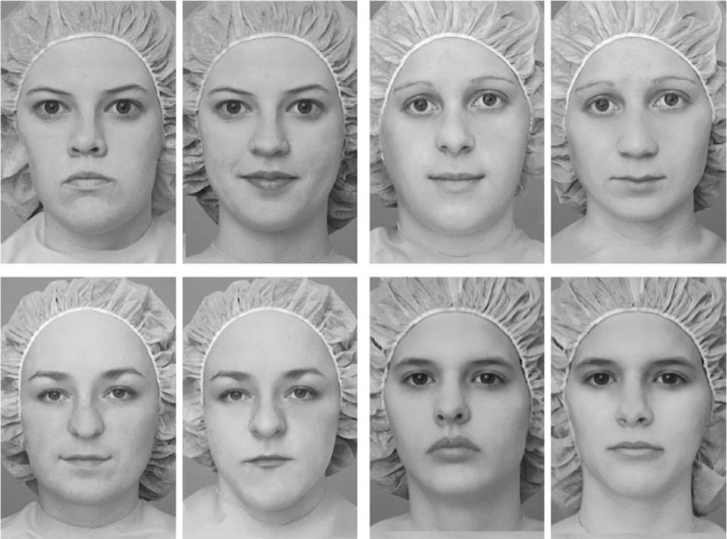 256 Psychon Bull Rev (2017) 24:245 261 Fig. 5 Examples of facial composites taken from a commonly used stimulus set developed Le Grand et al. (2004).