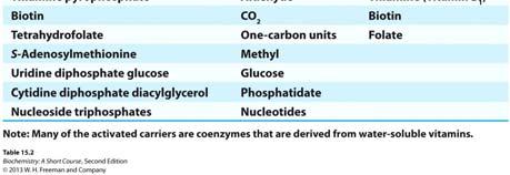 Types of cofactors 2 electrons 1 or 2 electrons 1 or 2 electrons * Ca ++ K + Mg ++ Mn ++ Fe-S center zinc copper cobalt See: *pg. 132 for info on metal ions in catalysis *Table 15.