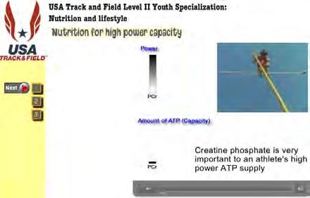 Nutrition for high power capacity Opening screen: The body makes creatine in the Where is most of the creatine stored?