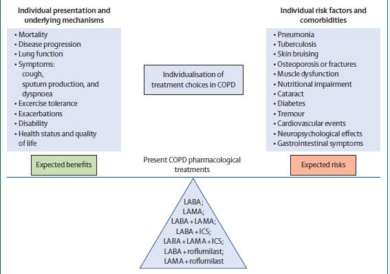Benefit risk balance and its individual determinants with personalised COPD treatment choices Woodruff PG, Agusti A, et al.