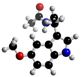 Melatonin Circadian (daily) rhythm of melatonin codes the circannual cycle of seasonal
