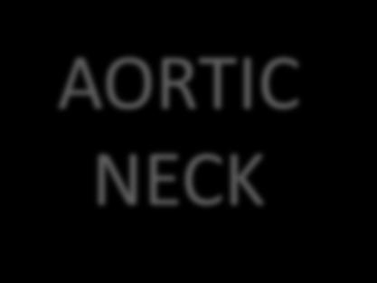AORTIC NECK SHORT/SMALL
