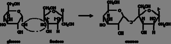 6) Below is an example of dehydration synthesis.