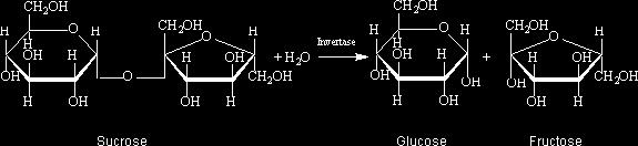 + + H 2 O water 7) Below is an example of hydrolysis.