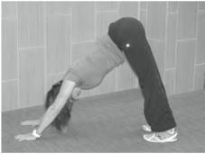 6 Downward Dog: Reconnects the Linkage Between Your Wrists and Feet Hold this exercise for one minute. Start on your hands and knees.