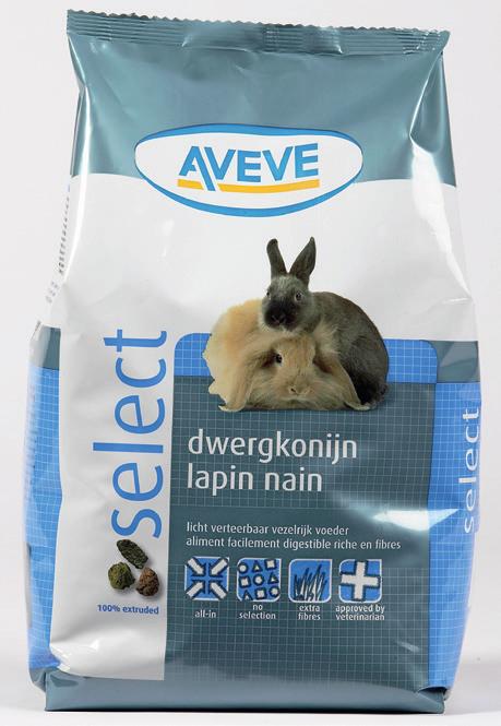 is not a necessity, but it is a good way to entertain your rabbit.