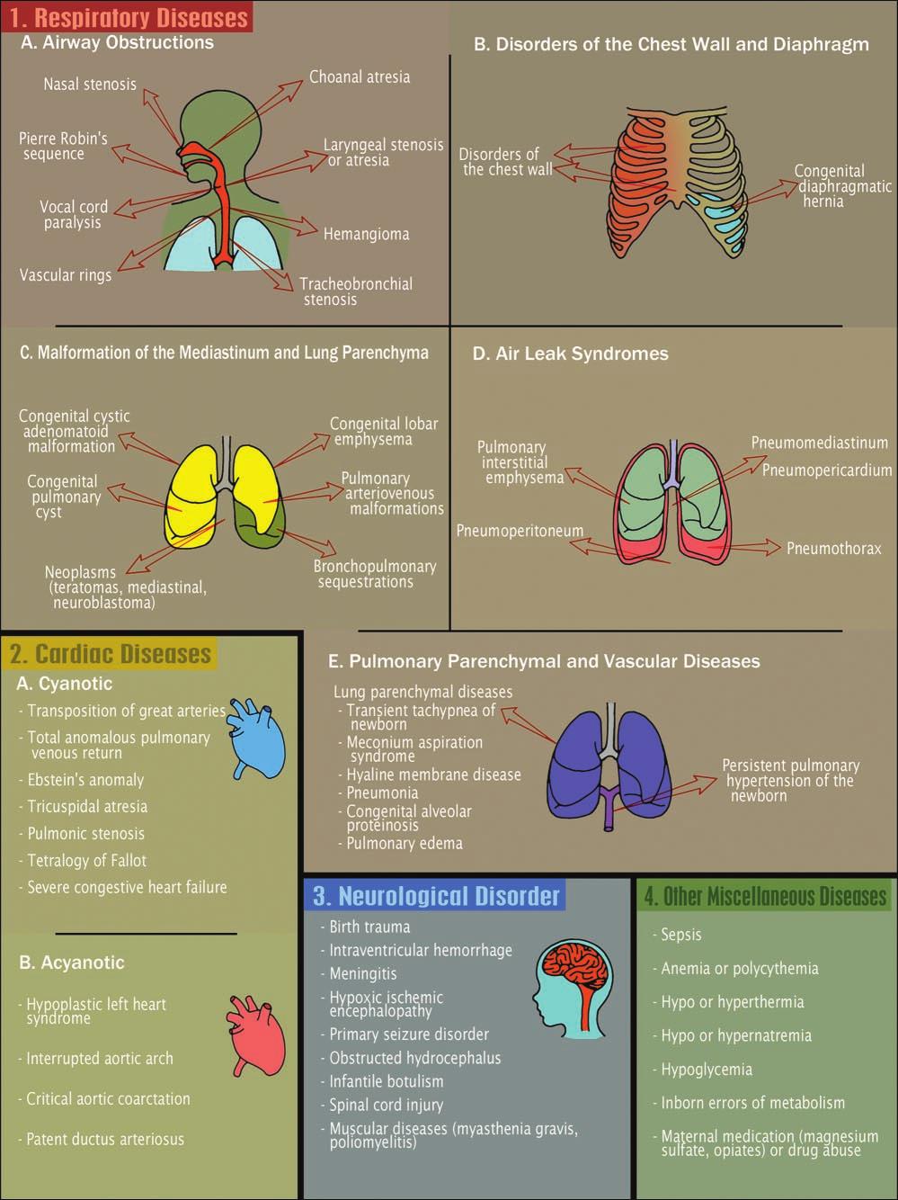 Figure 2. Differential diagnosis for infants in.