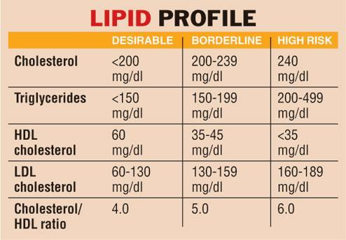 What tests are included in a lipid profile?