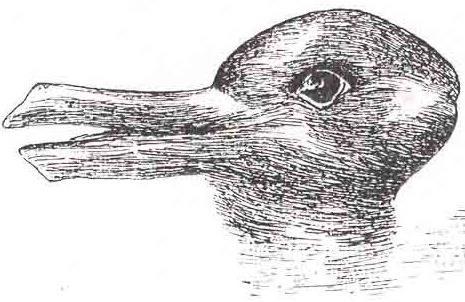 Things are not always what they appear to be and are often confusing. Everyone see things differently. Is this a Duck or Rabbit?
