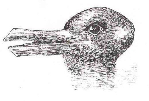 Is this a Duck or Rabbit? If we cannot agree on identifying a simple image, how then can we as a country agree on solutions to complicated problems?