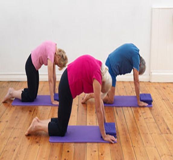 Focusing on just the above mentioned four conditions namely: Osteoporosis, sclerosis, Parkinson s disease and stroke, it is clear that Pilates is indeed extremely advantageous when it comes to the