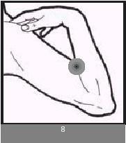 Bend your arm as shown in the drawing and place your finger in the crease in
