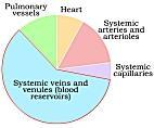 How does increased water reabsorption by the kidneys affect blood volume and venous return? 17.