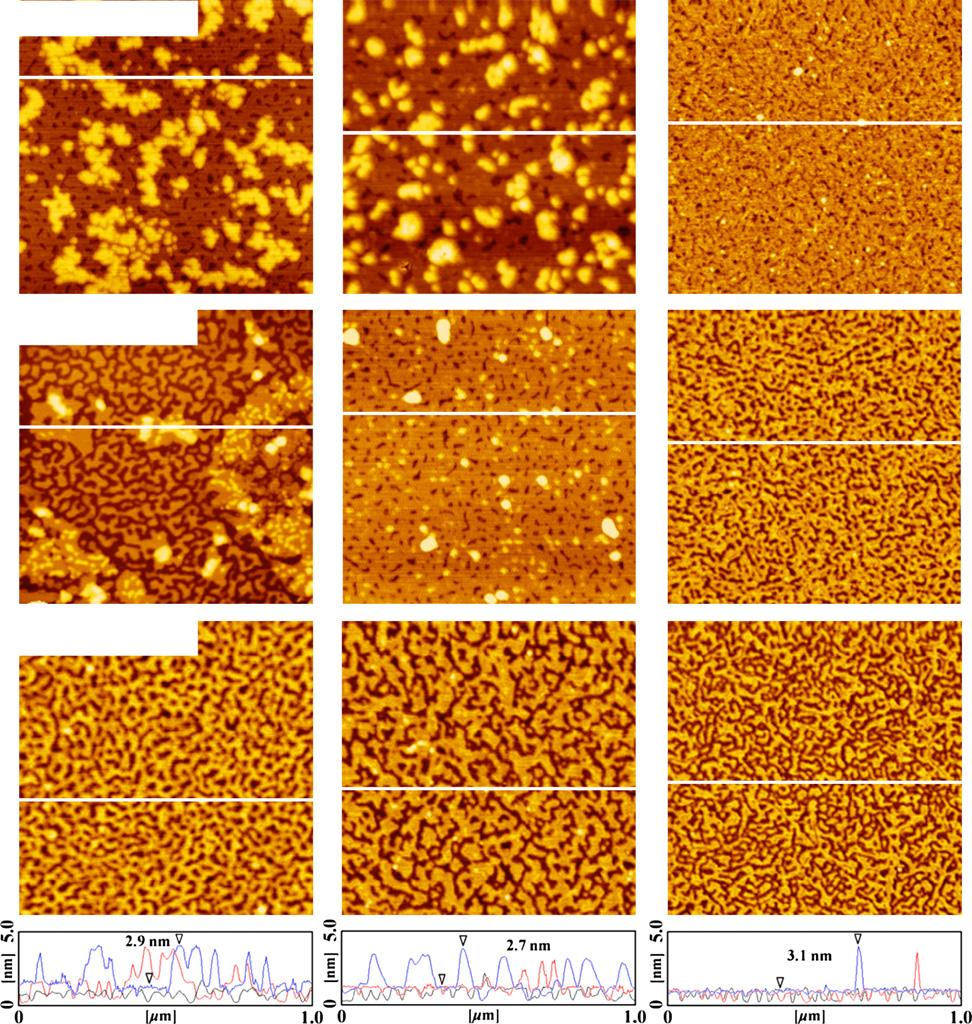 Specificity in Model Lung Surfactant 1425 C 55 mn m 1 B 45 mn m 1 A 35 mn m 1 200 nm FIGURE 10 Typical AFM topographic images of DPPG/Hel 13-5, DPPC/DPPG (4:1, mol/mol)/hel 13-5, and DPPC/Hel 13-5