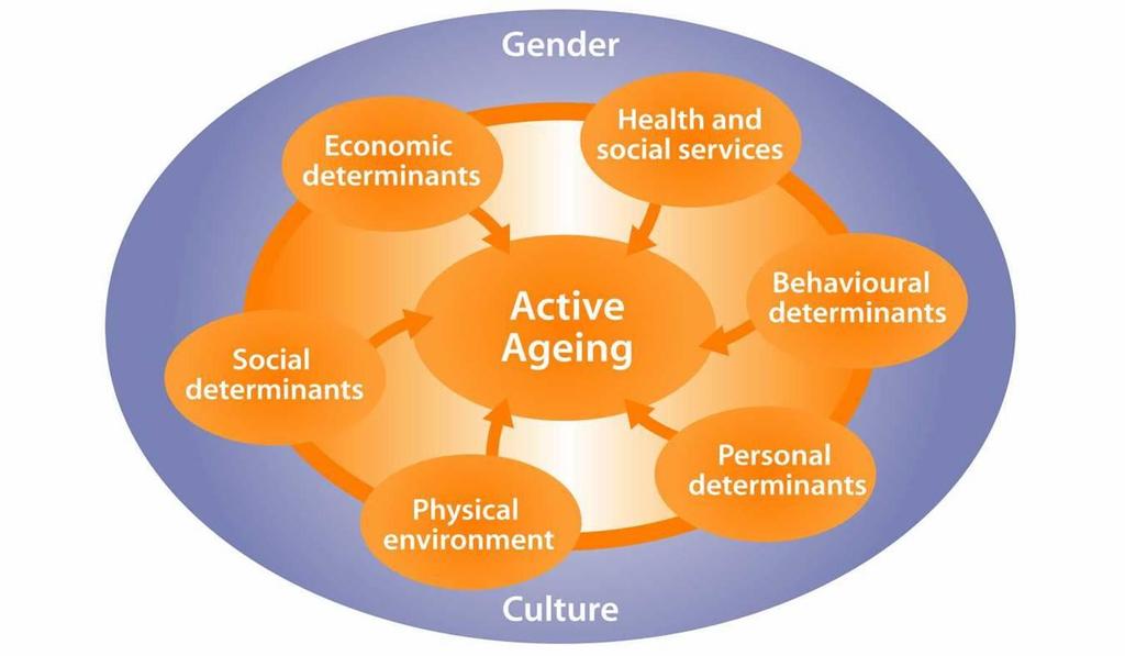 Active Ageing Influenced by Interacting Determinants Active ageing is the process of optimizing