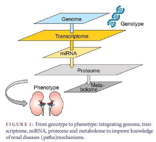 - omics informally refers to a field of study in biology such as genomics,