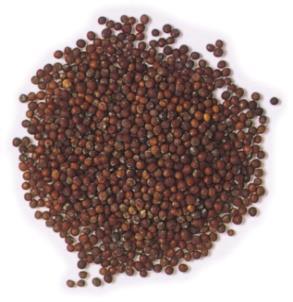 Total glucosinolate content in the top grade mustard was 118 micromoles per gram ( mole/g) for oriental and 108 mole/g for brown, which is similar to the 10-year average of 120 mole/g