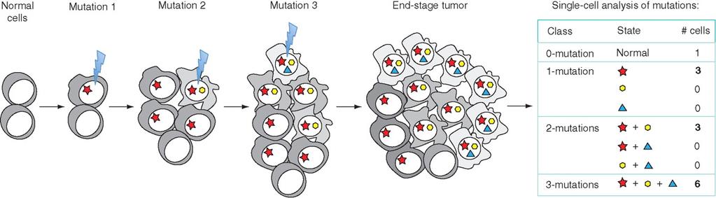 Using mutations to track Cancer Evolution