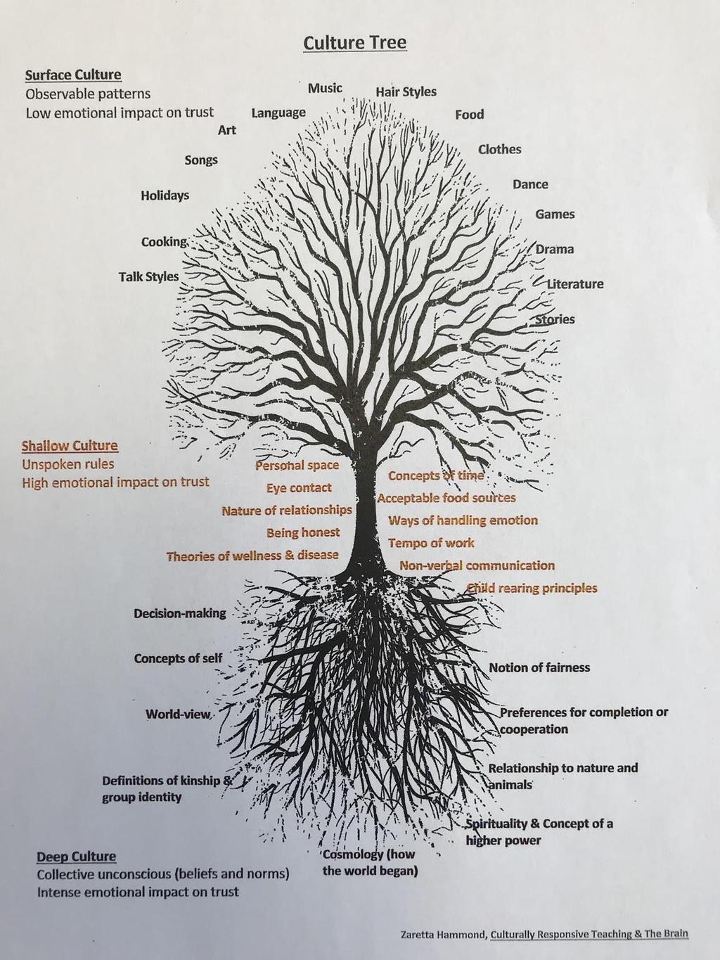 The Culture Tree Zaretta Hammond, Culturally Responsive Teaching & The Brain The Impact on Trust Surface Culture - Low emotional impact Shallow Culture - High emotional