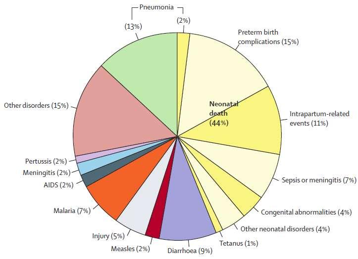 Global under-5 Mortality Estimates: 2013 Pneumonia causes 799,000 deaths