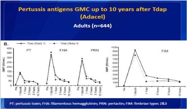 Antibodies post Tdap Rapidly decline in first 1-2 years Slower decline over 5-10 years Close to pre-vaccination at 10 years Note: No defined level of antibody