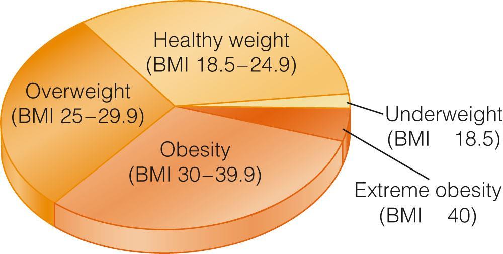 Classification of BMI Prof