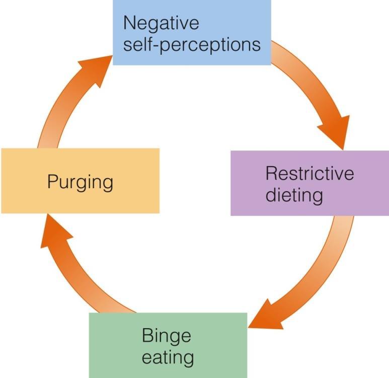 The Cycle of Bingeing, Purging, and Negative