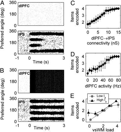 Boosting of capacity through dlpfc topdown signals. dlpfc has nonspecific, excitatory connections to IPS.