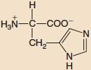 Amino Acids! The Basic Amino Acids! Amino Acids! Stereochemistry of Amino Acids!