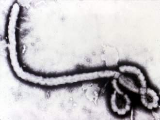 The West African Ebola Outbreak 28,000 reported