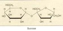 Two Monosaccharides covalently bonded Examples: sucrose lactose fructose glucose glucose galactose Straight or branched chains of many sugar monomers Potato is a plant stored