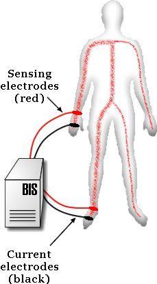Bioelectrical Impedance Analysis: calculates body