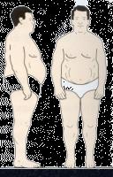 Three extreme body types: Endomorph: Pear shaped Wide hips and shoulders Wider