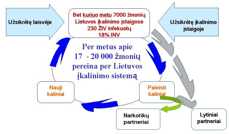 22 paveikslas. ŢIV plitimo įkalinimo įstaigose ir laisvėje schema 23 paveikslas. Pamečiui diagnozuoti ŢIV atvejai Lietuvoje Šaltinis: Uţkrečiamųjų ligų ir AIDS centro duomenys. 2009 11 01.