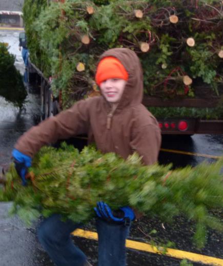 Christmas Tree Sales Gagewood Lions Page