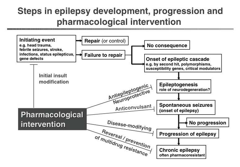 Loscher 2006 Epileptogenesis Approaches to Epileptogenesis in Man Aetiology ( initiating lesion ) Natural