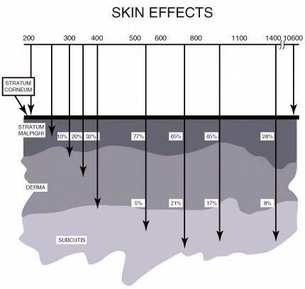 Depth of penetration into the skin for different wavelengths of laser radiation.