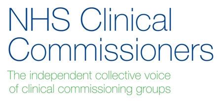 CCG Lay Members, Non-Executive Directors and STP Governance and Engagement 1.