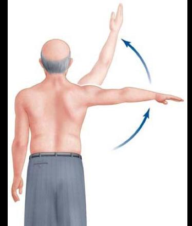 Abbott s test This test is for instability of the long head biceps tendon in the Groove.