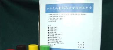 Kit RT-PCR 