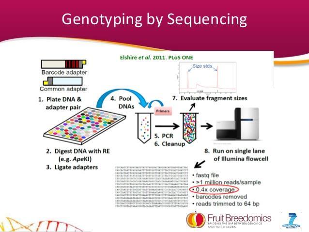 Genotyping-by-sequencing High levels of extra-pair paternity
