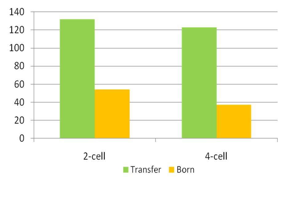 1jae /Mmcd: 24%* 41%* 30% 1% Other mutant strains: *Reproduction 2012 Mutant strain