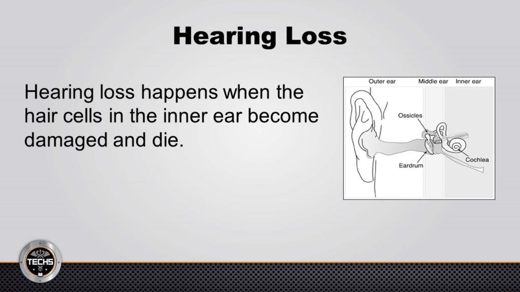 Hearing loss happens when the tiny hair